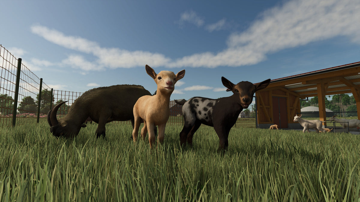 Farming Simulator 25 PS5 gameplay screenshot 2