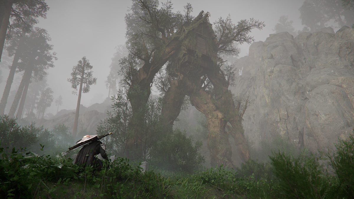 Crimson Desert PS5 gameplay screenshot 3