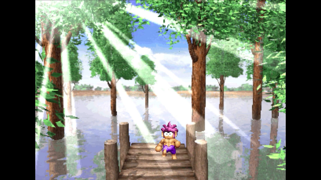 Tomba! Special Edition PS5 gameplay screenshot 2